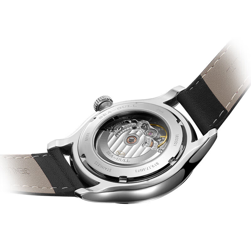 Seagull Men's Mechanical Watch - Omega Watch Constellation review and price