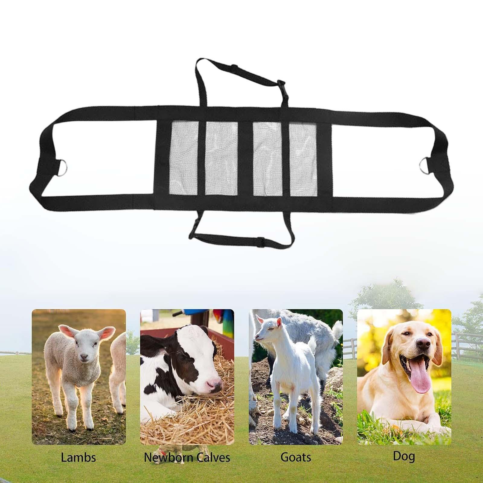 Calf Sling Hanging Weight Scal - Mesh Strap Metal review and price
