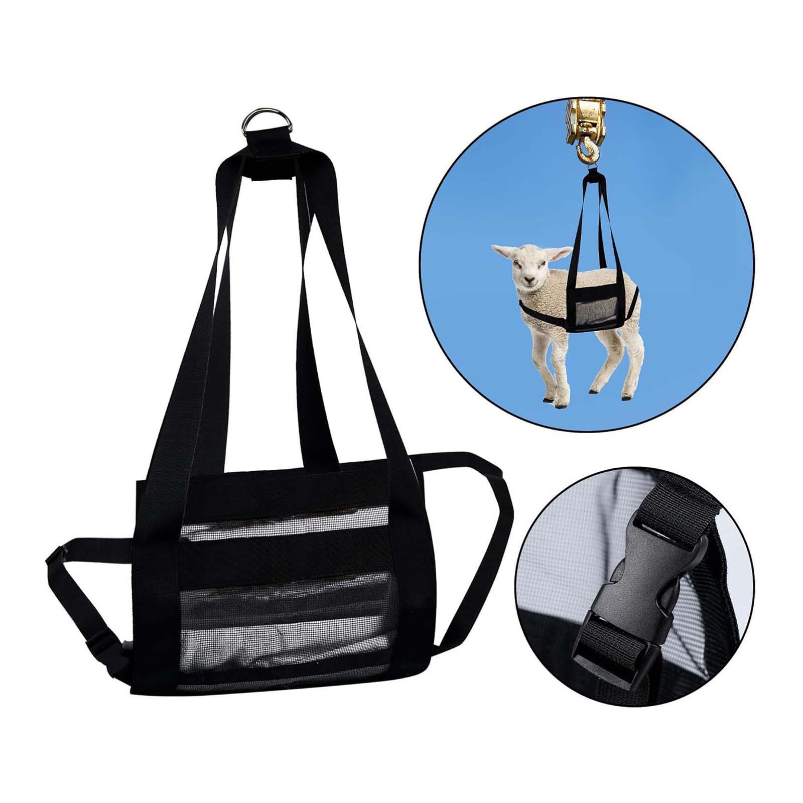 Calf Sling Hanging Weight Scal - Mesh Strap Metal review and price