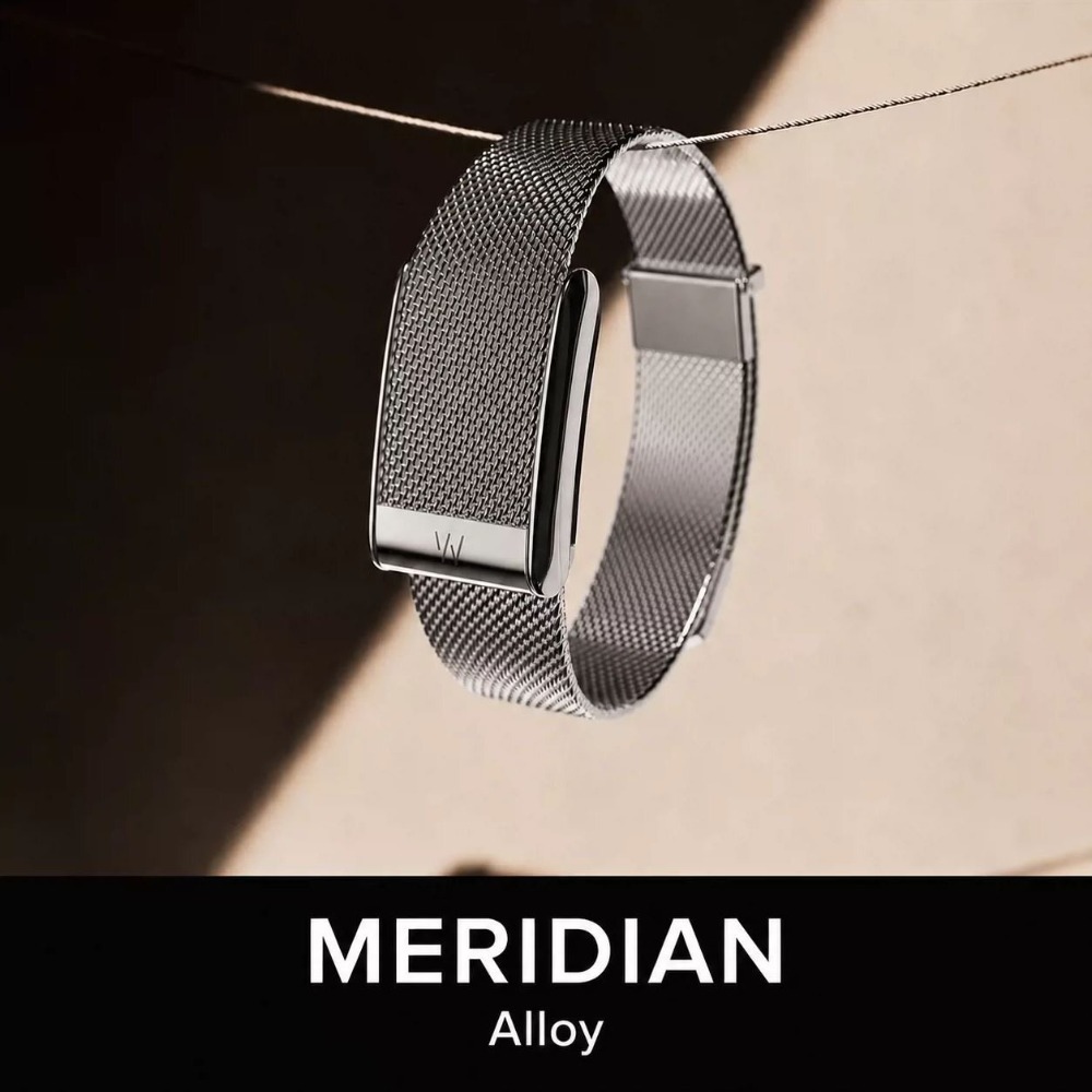 For WHOOP 5.0 MG Milanese Stai - Mesh Strap Metal review and price